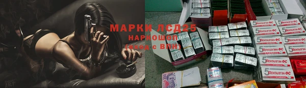 прущие крисы Тайга