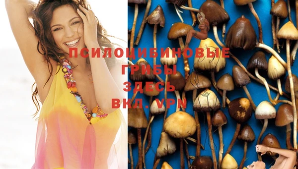 соль ск Ступино