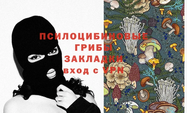 твердый Сясьстрой