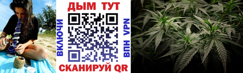 Каннабис ГИДРОПОН  Купить где  Щёлкино 